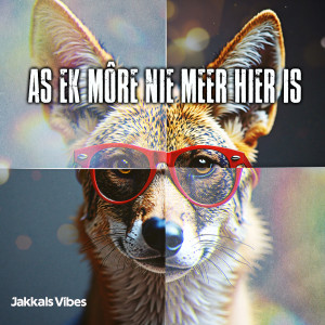 As ek mÃ´re nie meer hier is â€” cover art